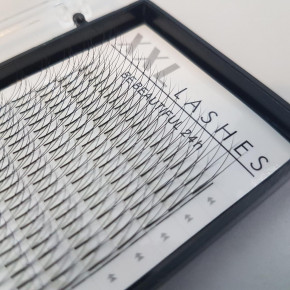 Y Lashes - 2D eyelash fans for greater volume – 320 double lashes